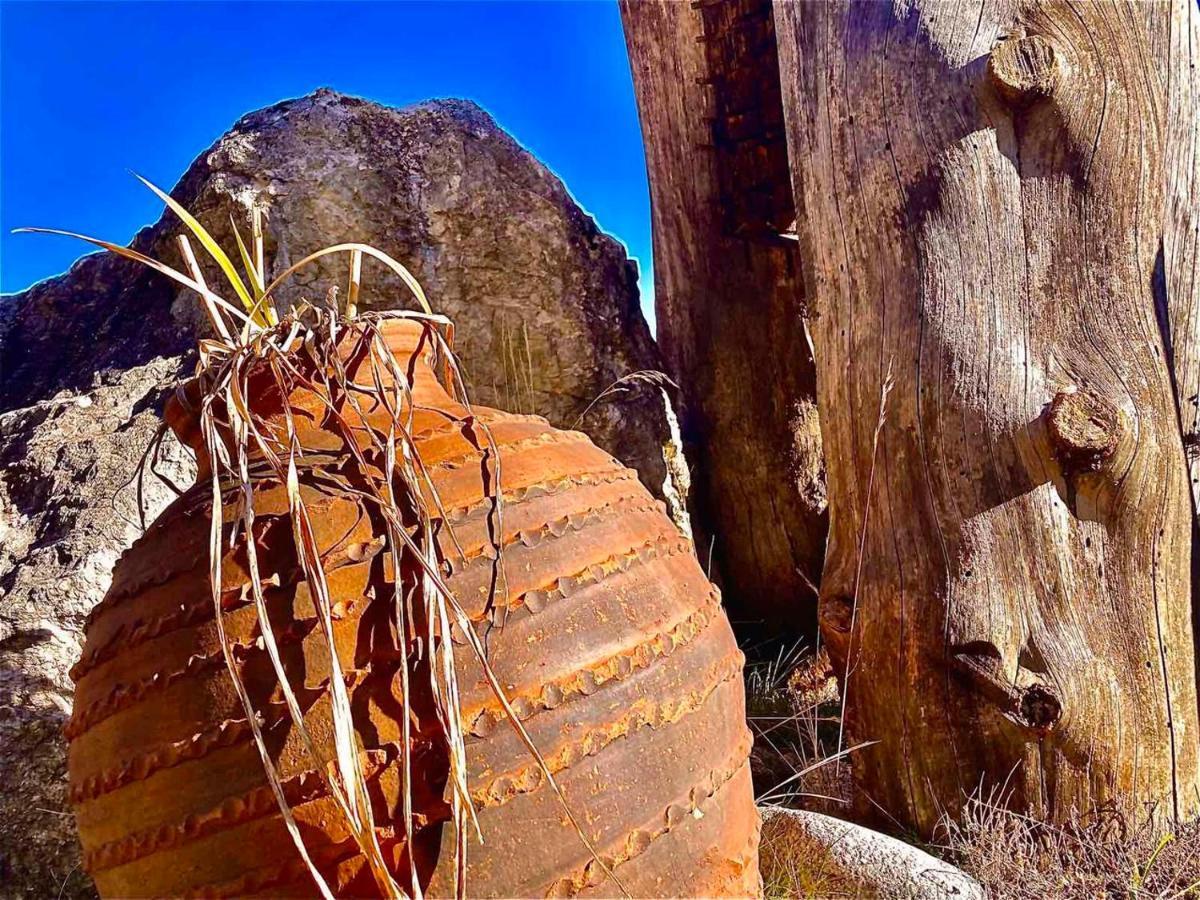 شقة St. John Hill بانسكو المظهر الخارجي الصورة